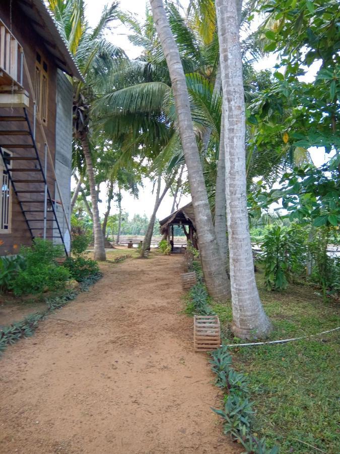 Coconut Island Yala Safari Place Tissamaharama Luaran gambar
