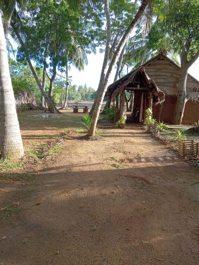 Coconut Island Yala Safari Place Tissamaharama Luaran gambar