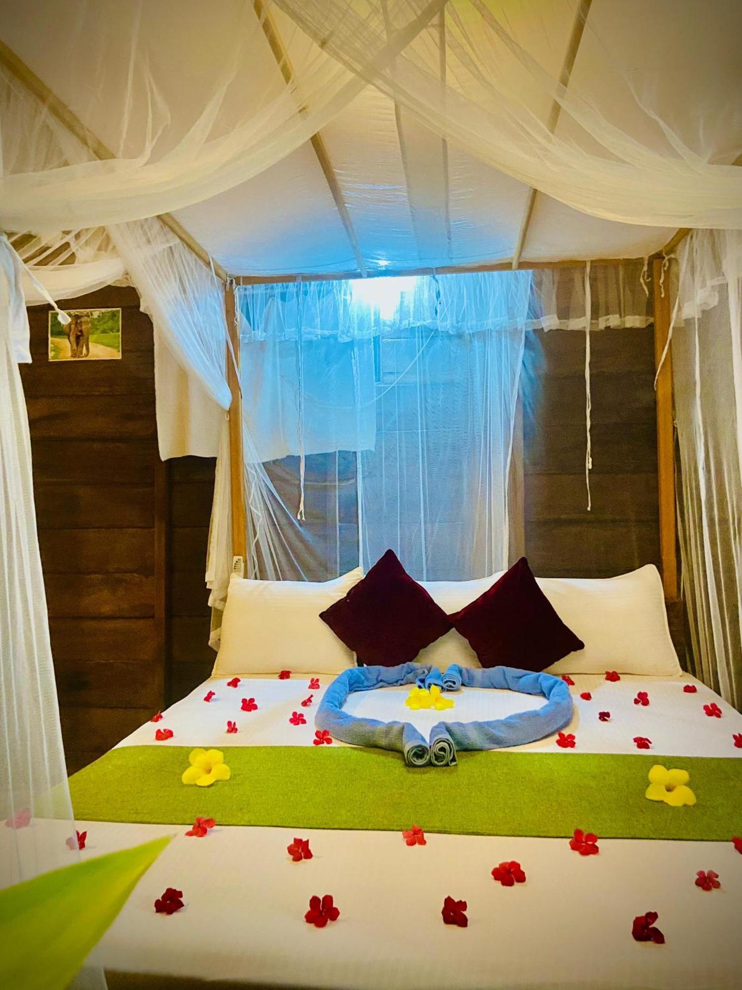 Coconut Island Yala Safari Place Tissamaharama Luaran gambar