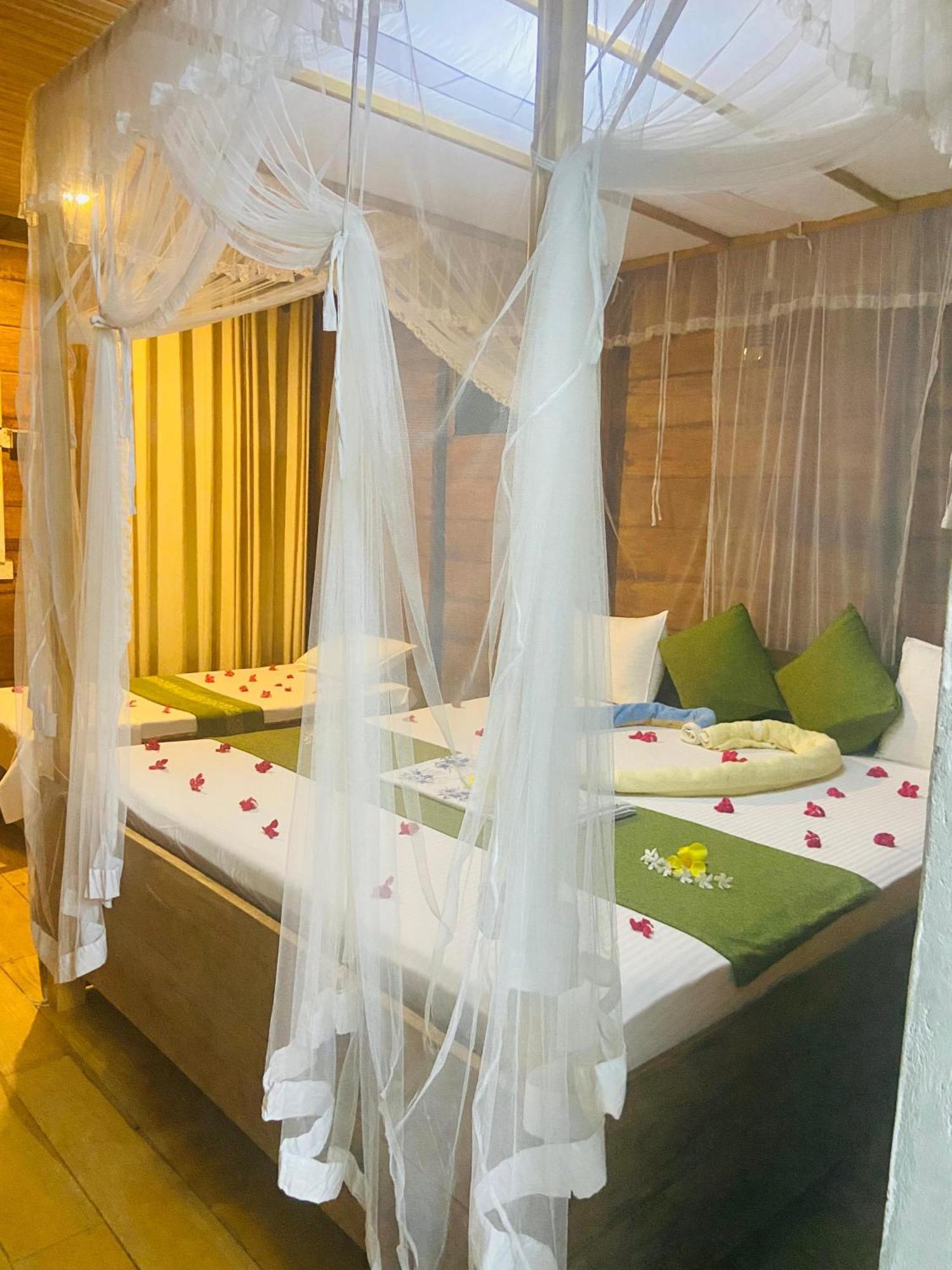 Coconut Island Yala Safari Place Tissamaharama Luaran gambar