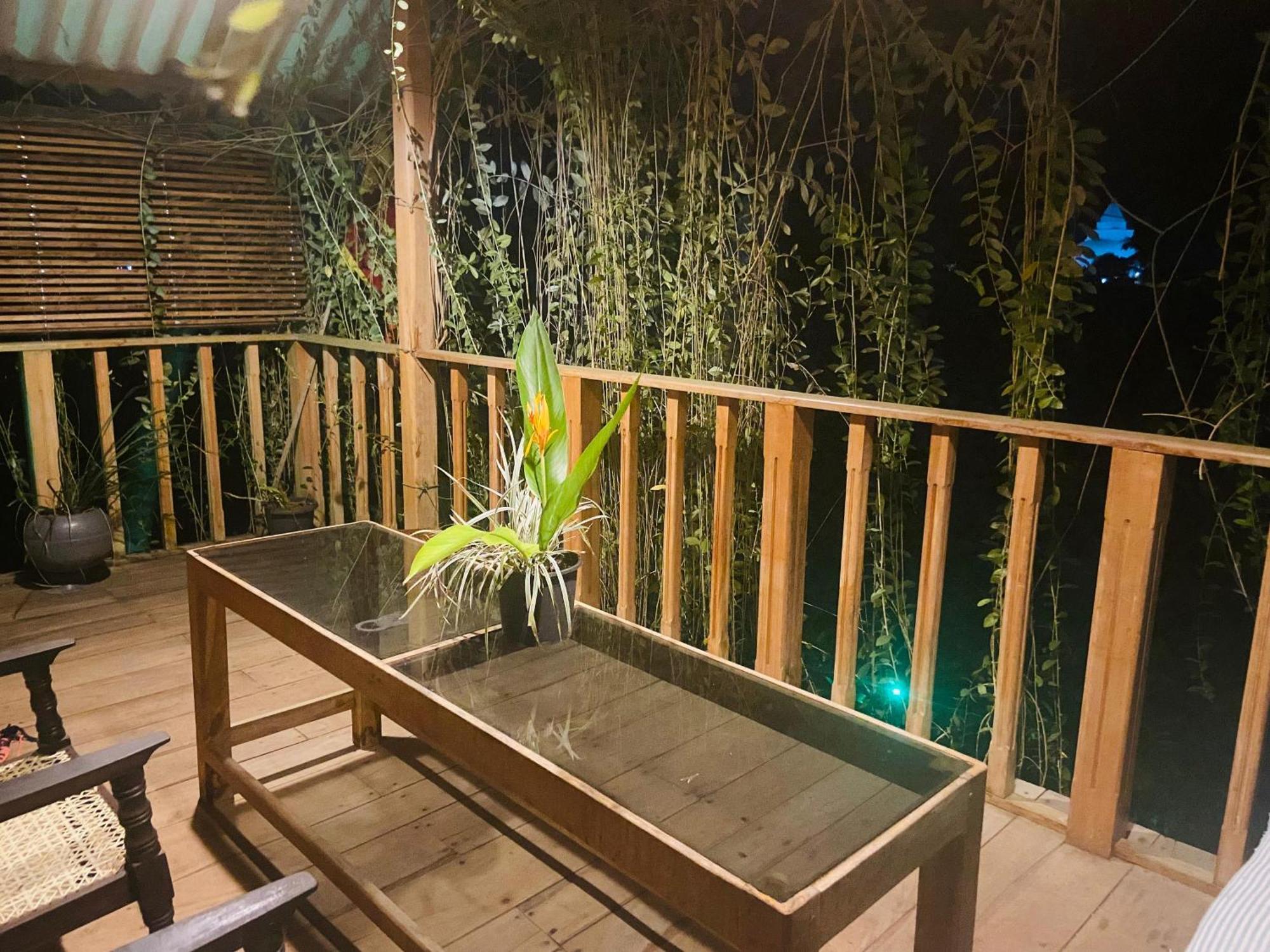 Coconut Island Yala Safari Place Tissamaharama Luaran gambar
