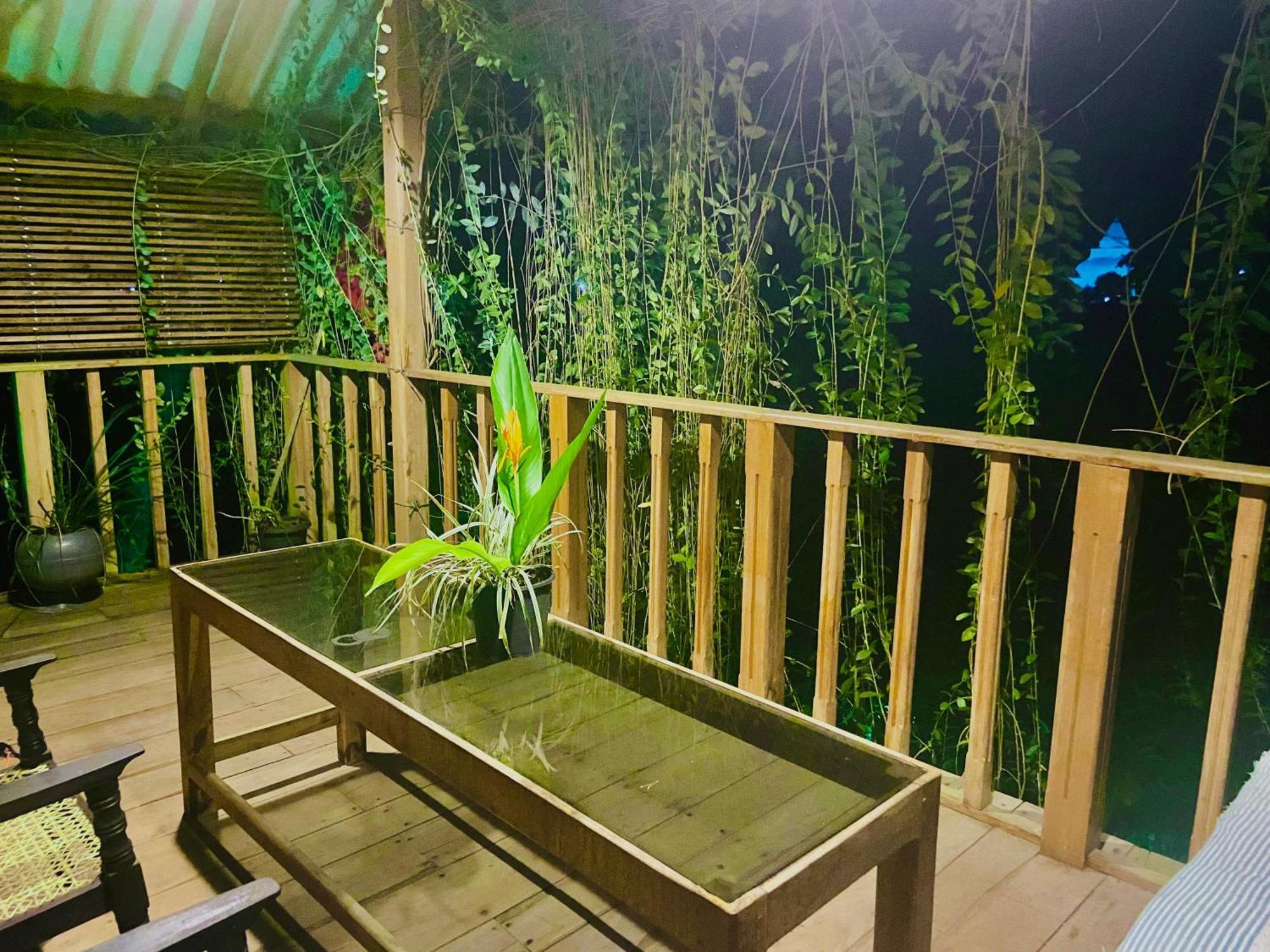 Coconut Island Yala Safari Place Tissamaharama Luaran gambar