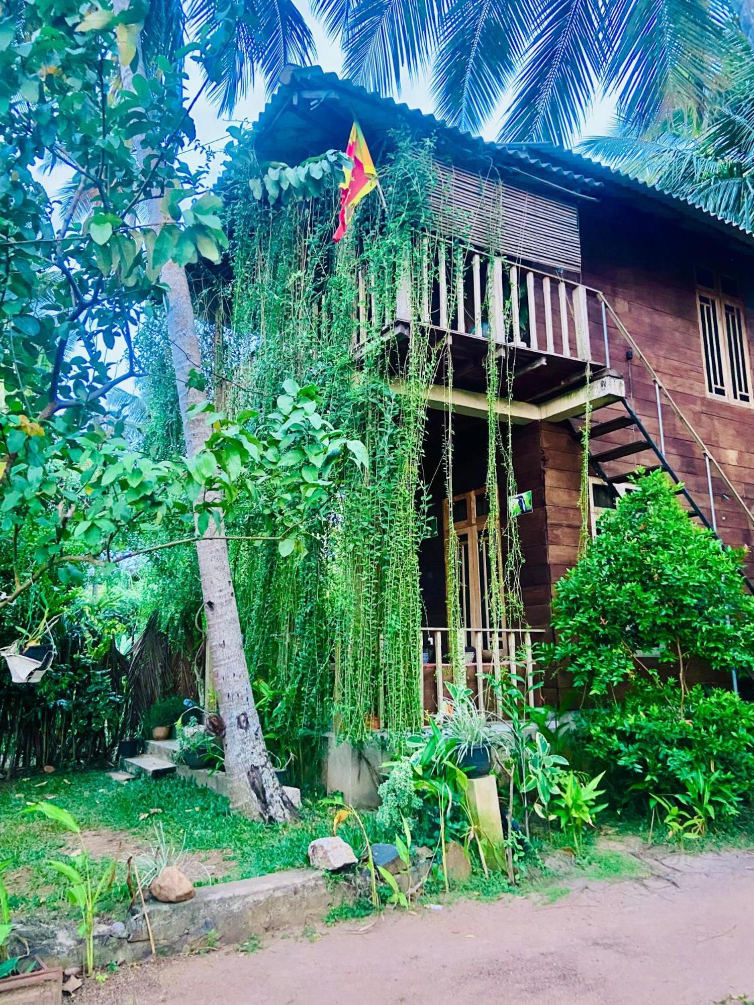 Coconut Island Yala Safari Place Tissamaharama Luaran gambar
