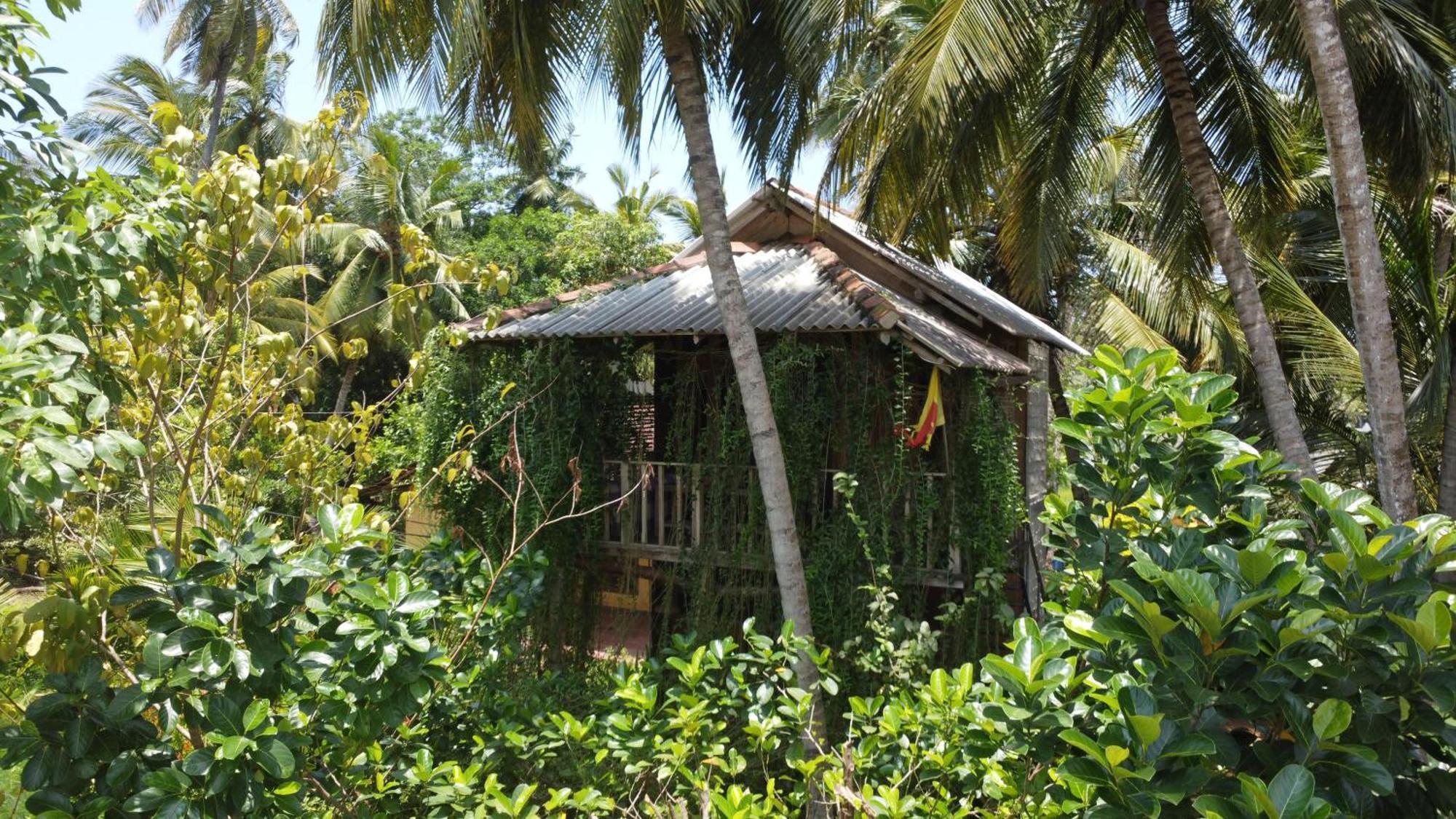 Coconut Island Yala Safari Place Tissamaharama Luaran gambar